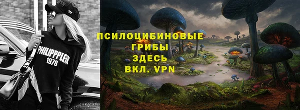 хмурый Надым